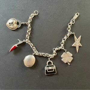 Silver Charm Bracelet with removable clasped charms